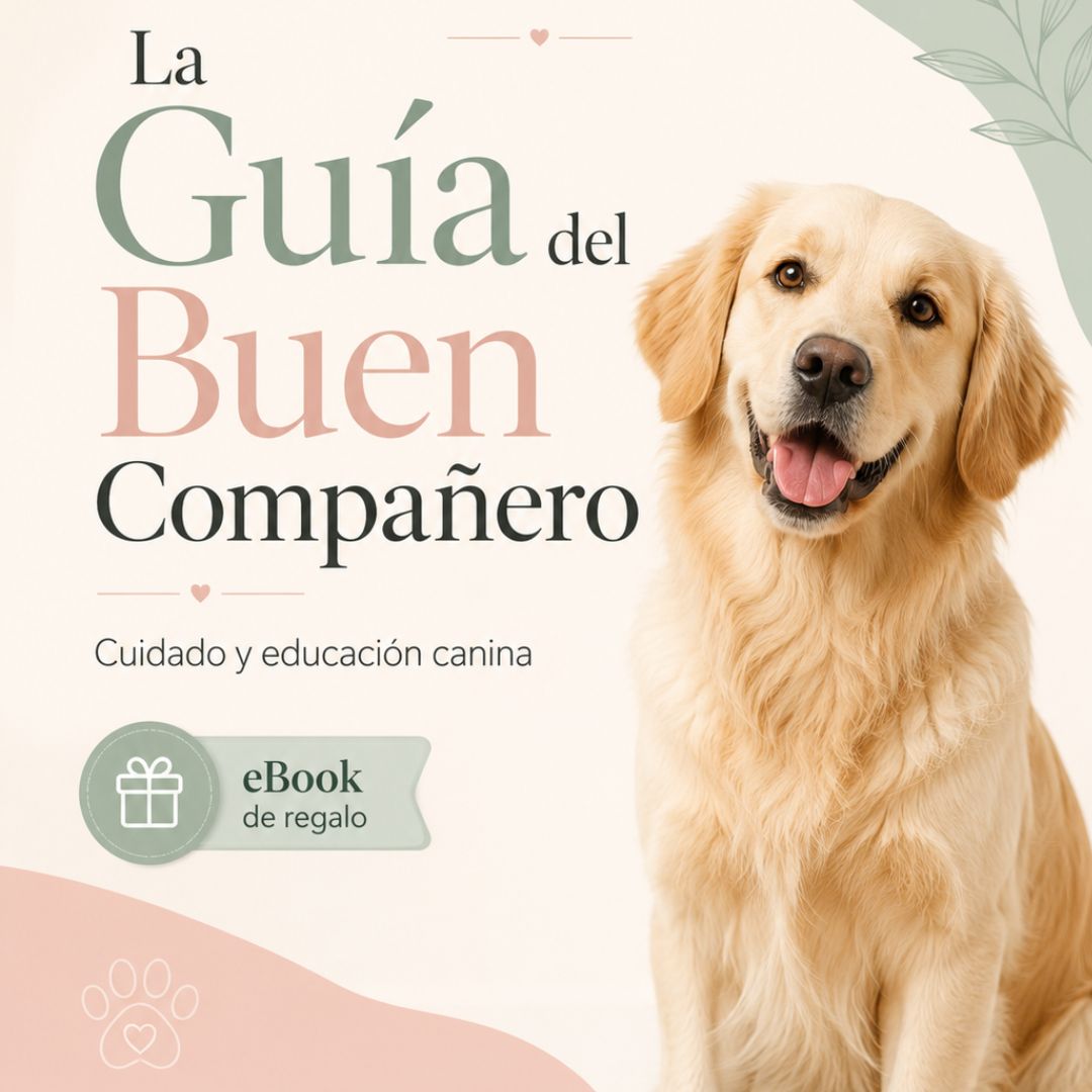 E-book El Buen Compañero